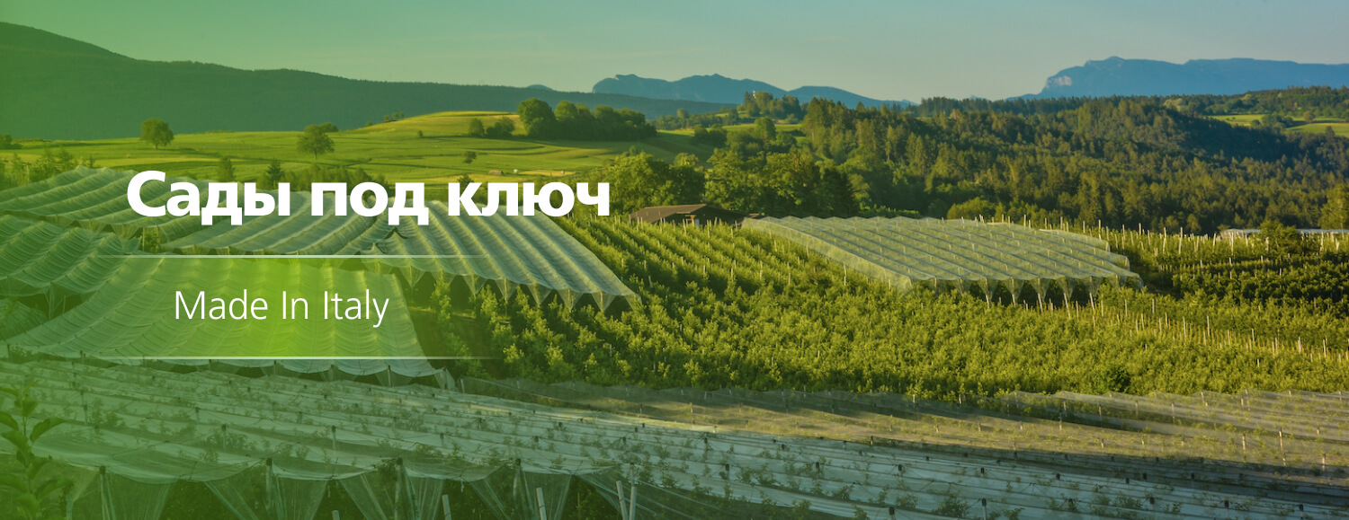 Сады под ключ
