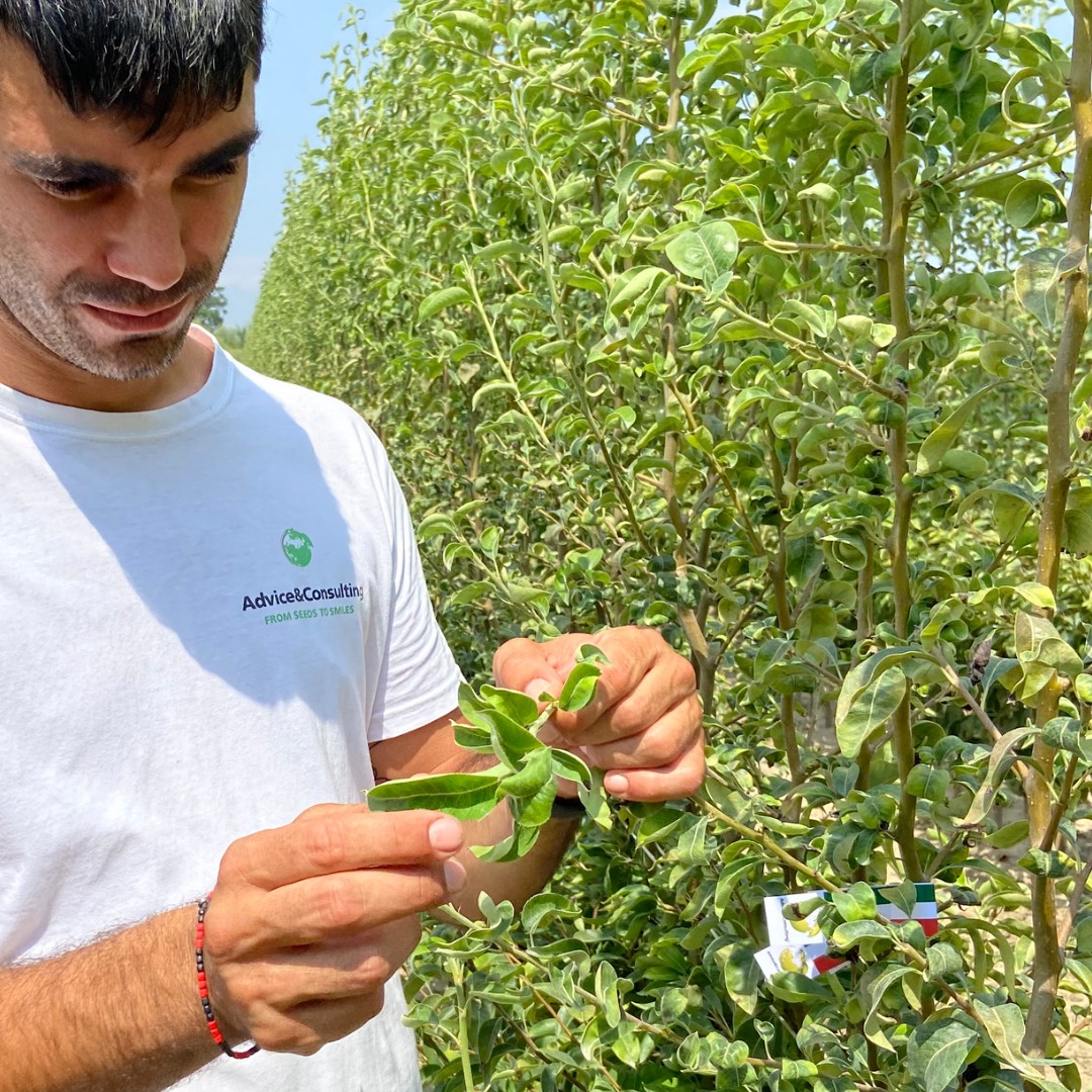 Получить консультацию специалиста